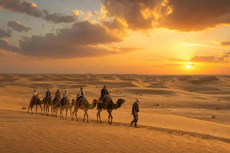 Sahara desert dunes and oasis in southern Tunisia